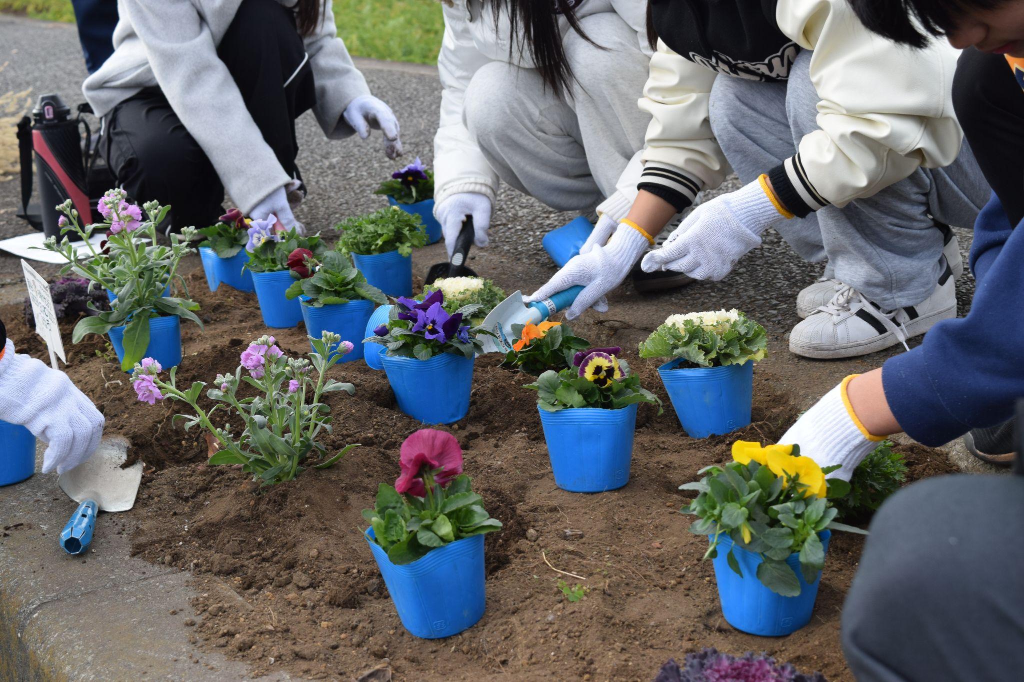瀬谷高校の生徒らが1.5㌔、50区画に植栽