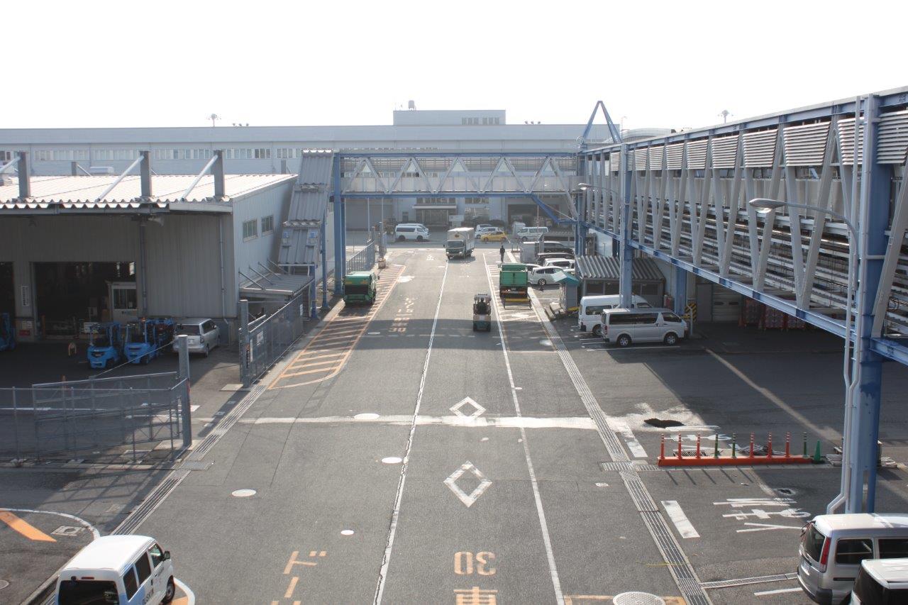 現在の関空の国際貨物地区