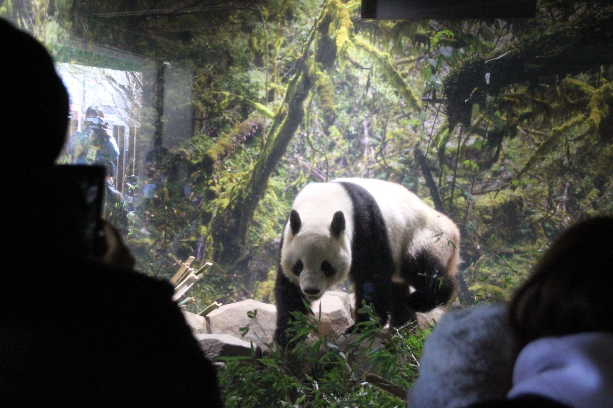 最終観覧の1月25日には多くの人が来園