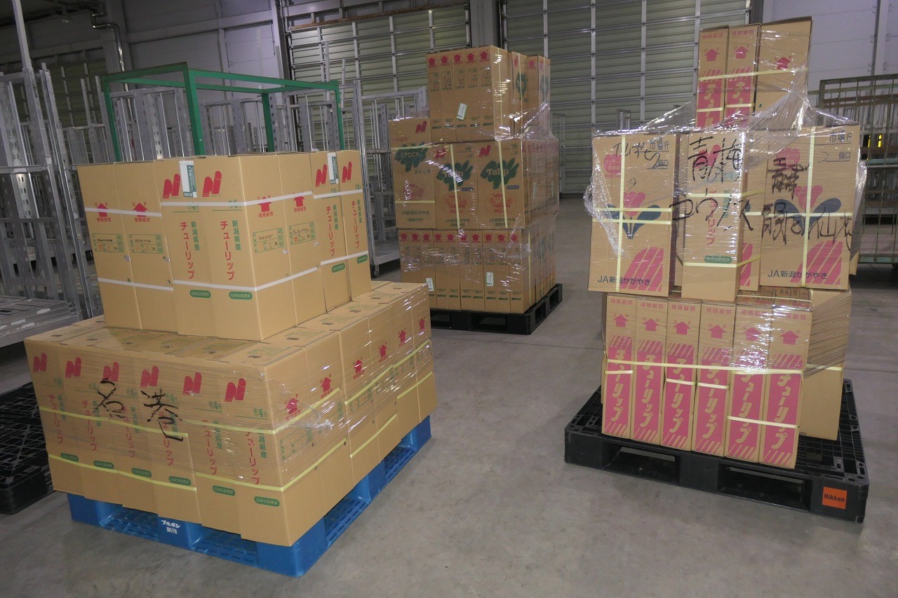 パレットに積載された新たな仕様㊧と従来型のケース