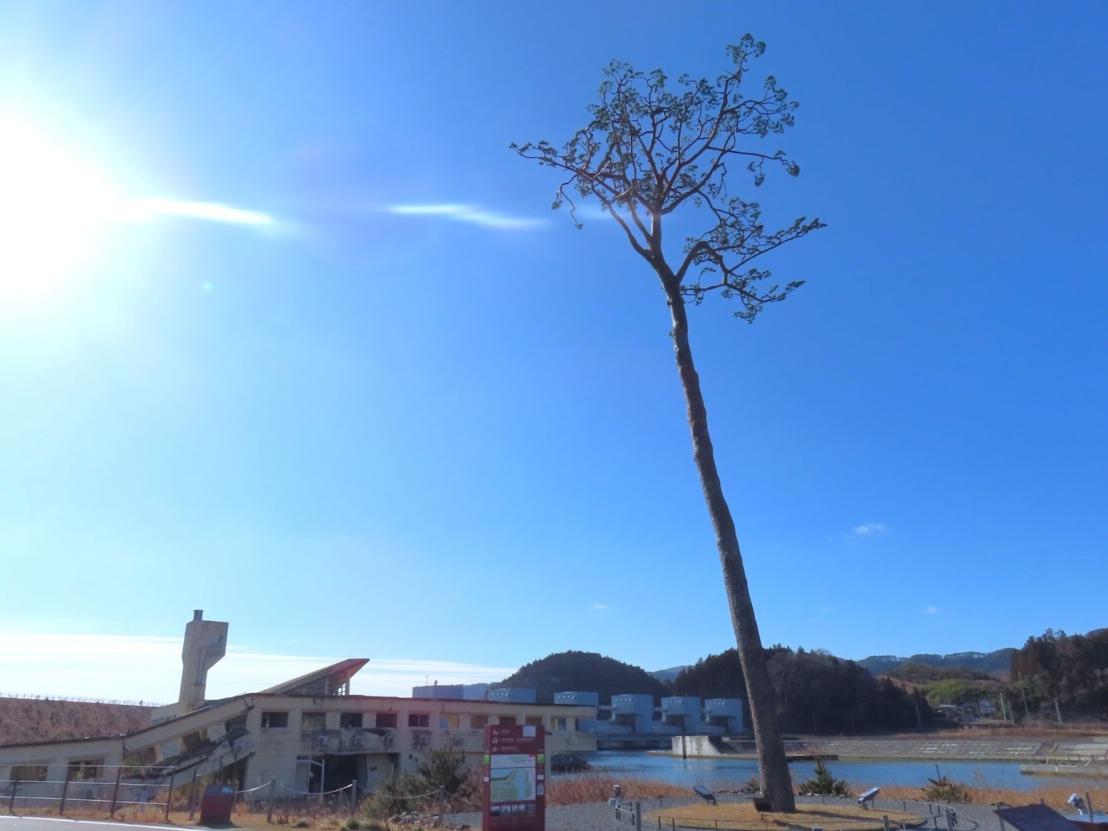 復興のシンボルとなった奇跡の一本松（岩手県陸前高田市）