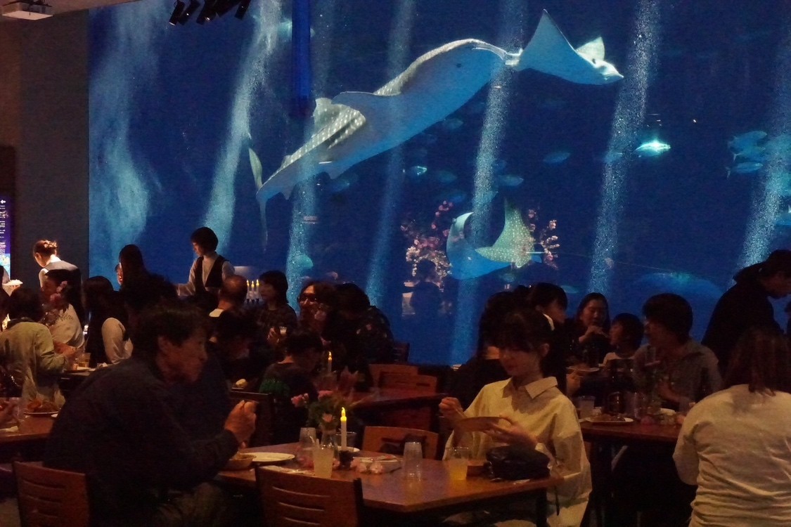 館内のレストランで夕食を楽しむ