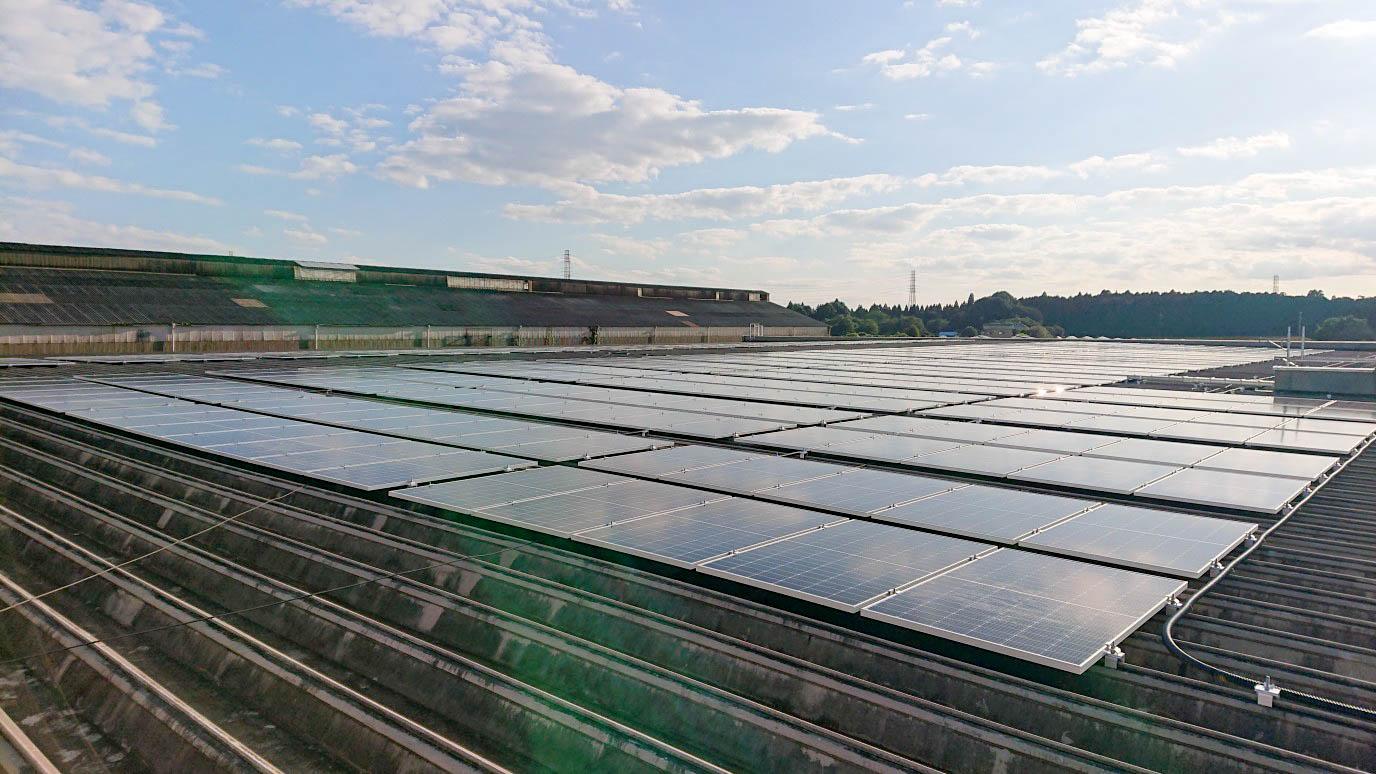 太陽光発電設備を本社倉庫棟の屋根に敷設