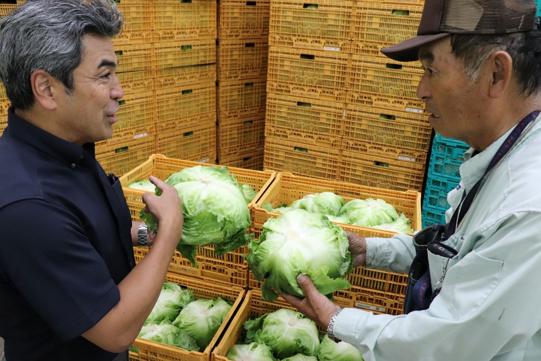 レタスの鮮度を確かめる中嶋会長㊧と信州森のファームの菊池代表