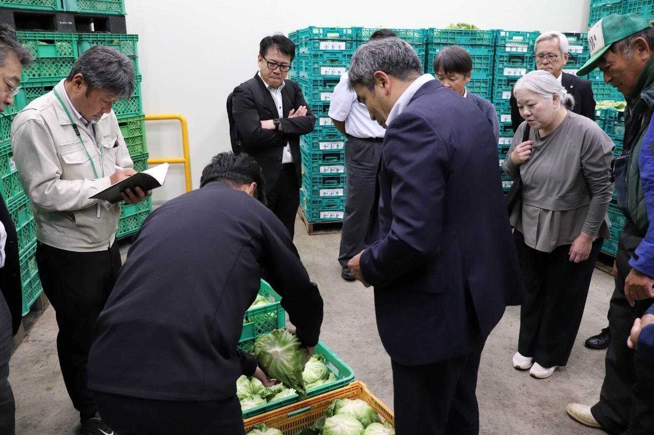 取れたてと数日前に収穫されたレタスの鮮度を確認する中嶋委員長（手前中央右）と参加者ら