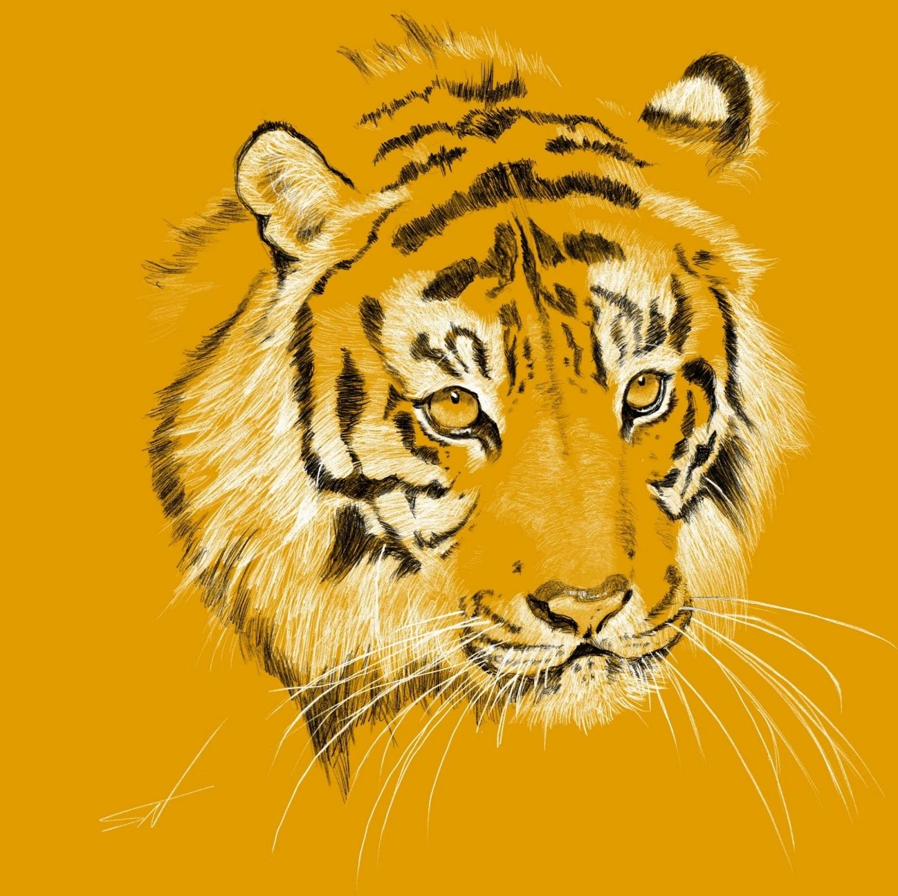 息抜きの時間にタブレットで描いたトラの絵